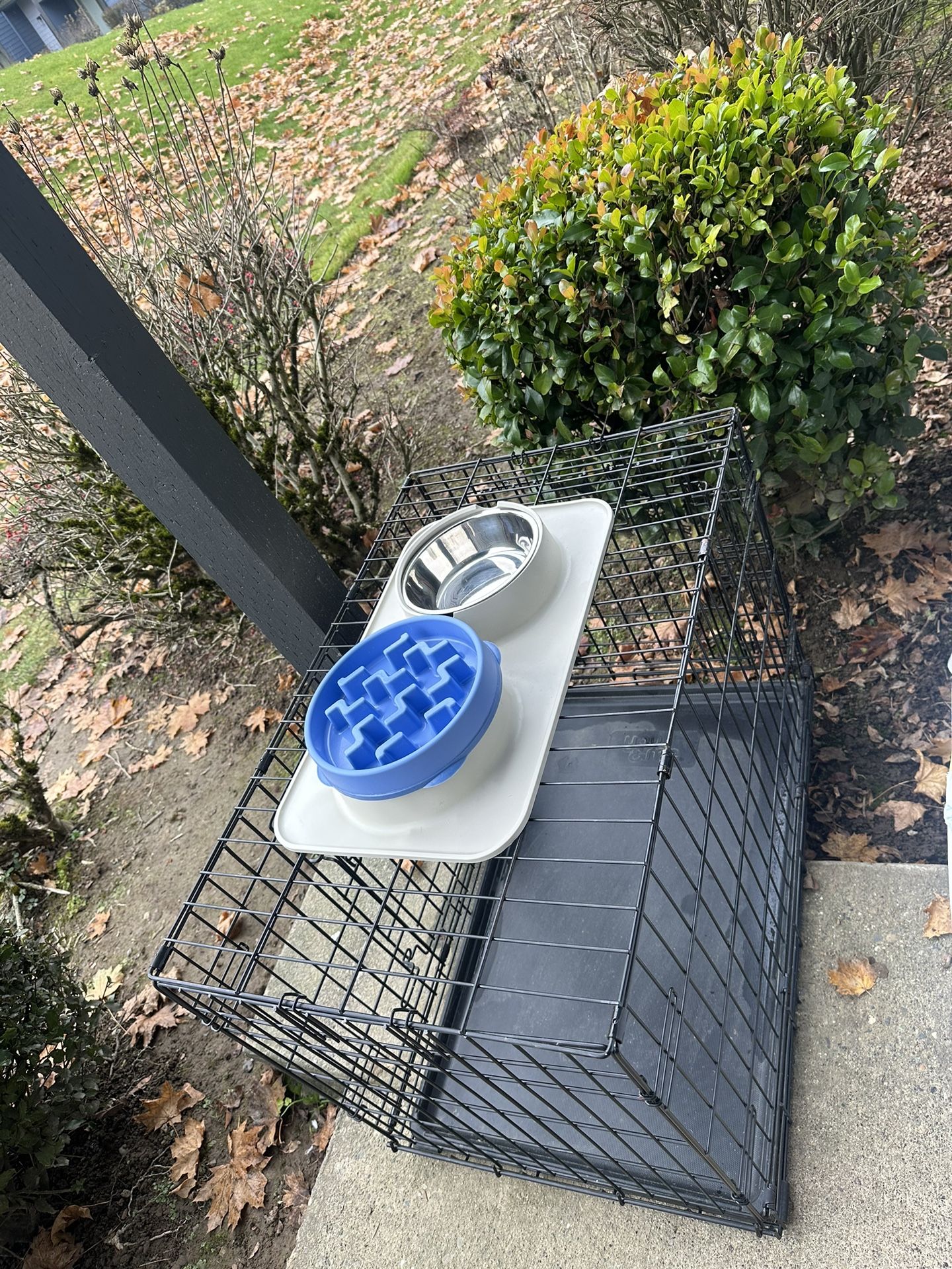 Dog Crate & Bowls