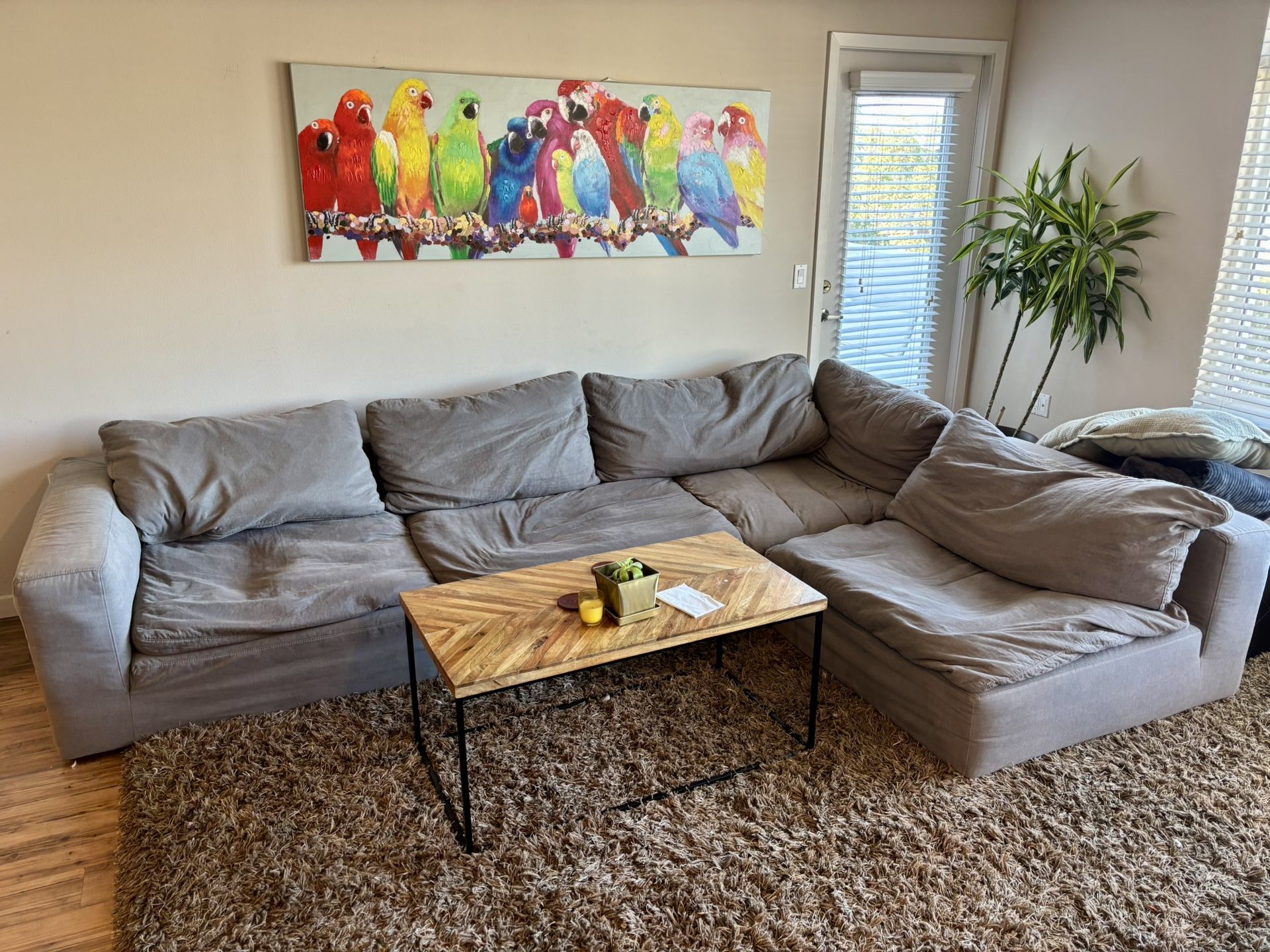 Modular Cloud Couch (Barely Used, 4 Piece)