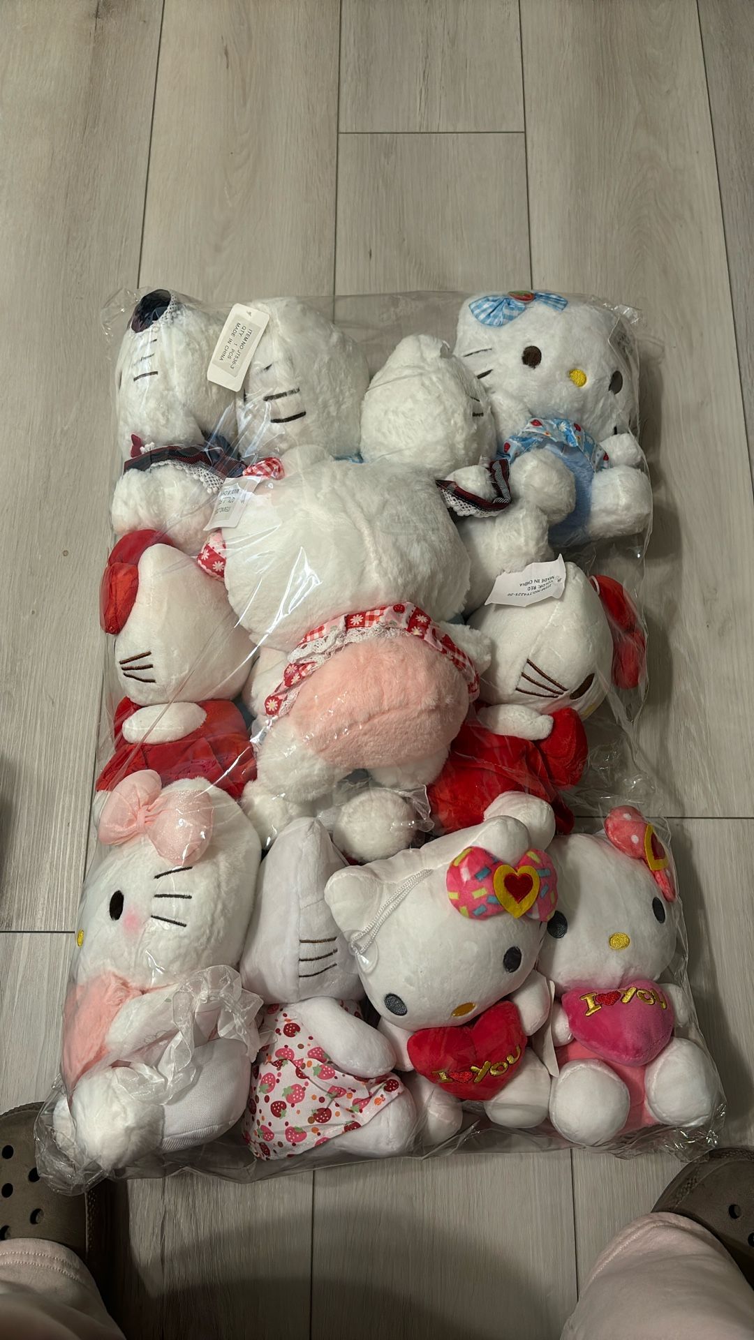 hello kitties 