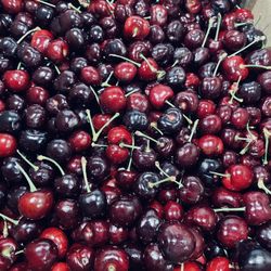 sweet fresh cherry $15 box 18lb