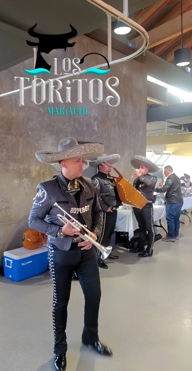 MARIACHI LOS TORITOS SD