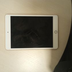 Ipad Mini 