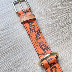 Palace Dog Lead Orange 