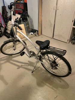 Seeking adoption: Garaged very well-behaved,  silver Townie 21 spd