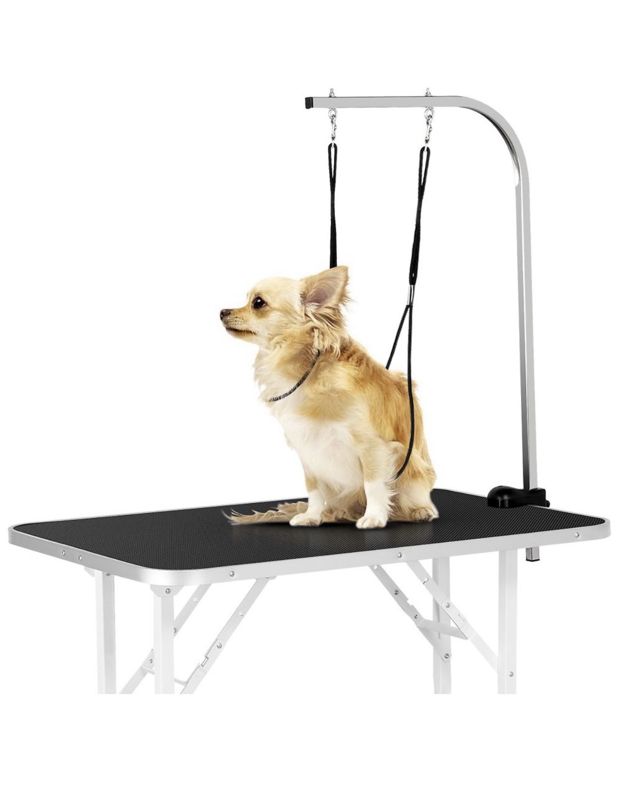 Dog Grooming Table