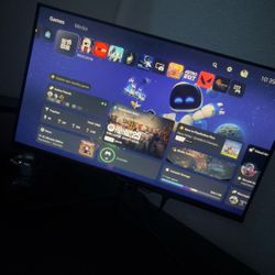 Sealan 24” Monitor - HDMI