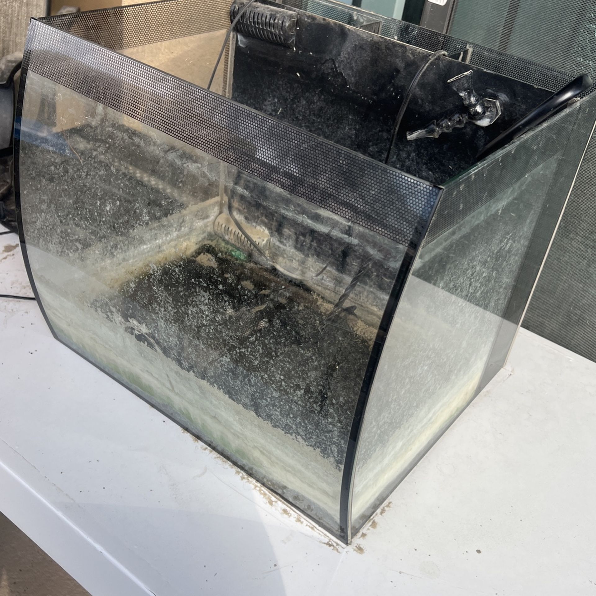 Used But Works Amazing 15.5 Gallon Tank With Filter