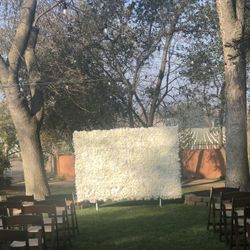 Flower Wall Backdrops 