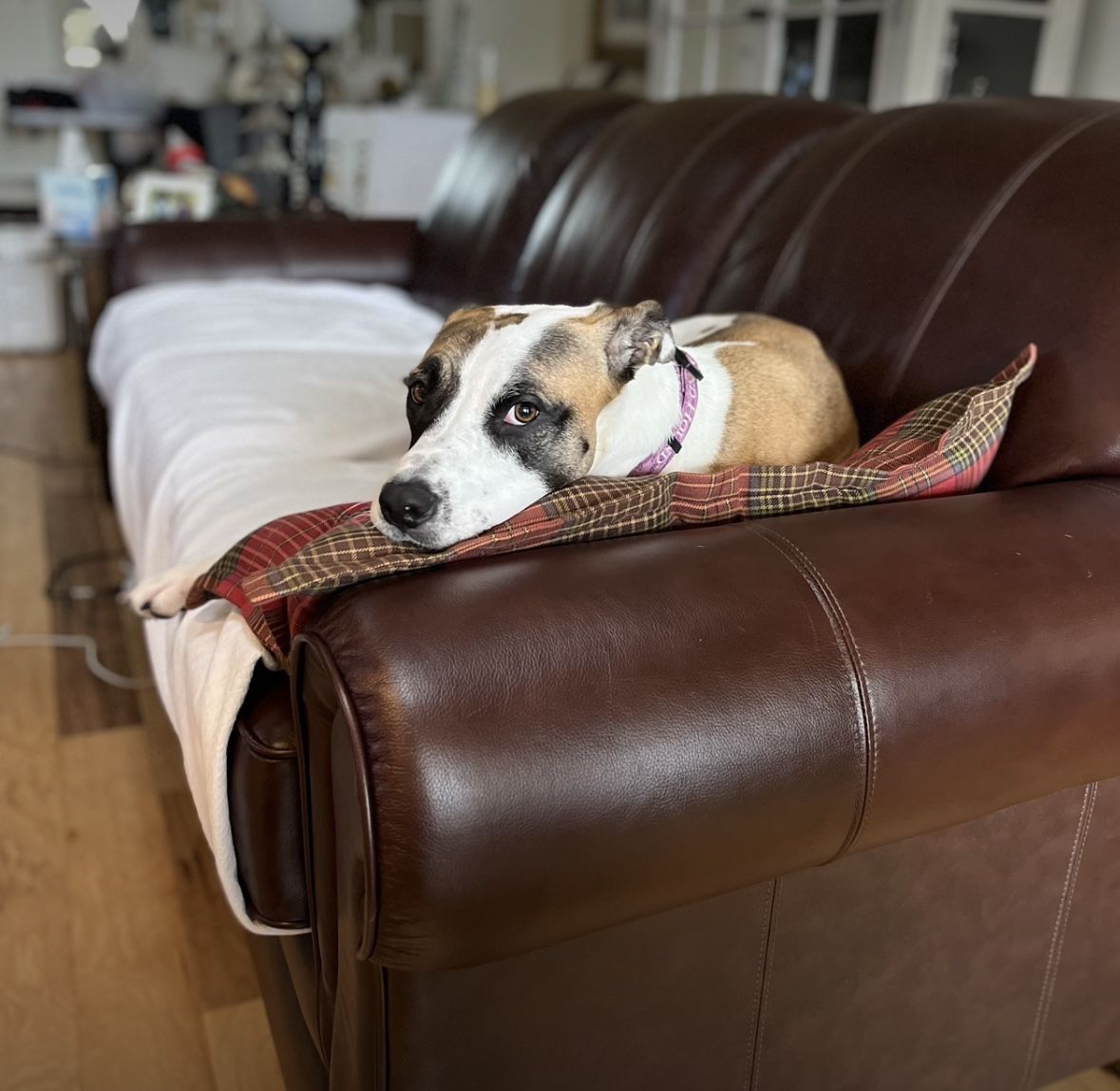 Lazy Boy Leather Brown Couch 
