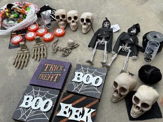 Halloween Decorations / skulls