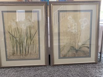 Picture Frames 31x41