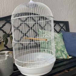Bird cage  - Jaula Para Pájaro