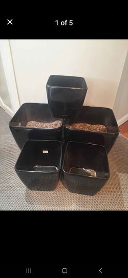Set of High Gloss Black Lechuza Planters