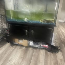 Fish Tamk 300 Gallon 