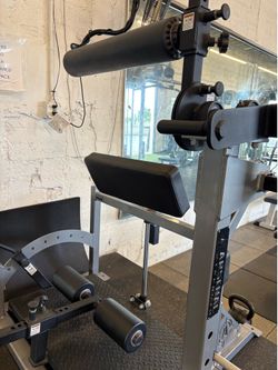 Posterior chain developer
