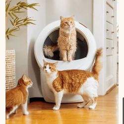 Litter Robot 4 By Whisker