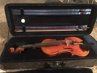Viola