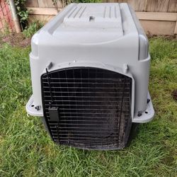 Dog Kennel 