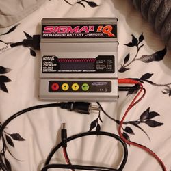 Sigma2 EQ Intelligent Battery Charger