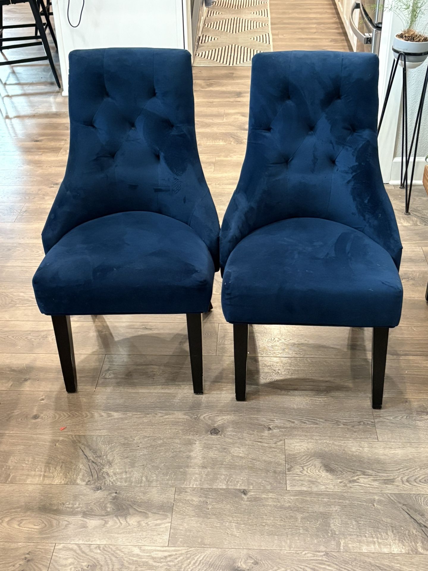 Blue Velvet Wingback Tufted Dining/Accent Chairs (Set of 2)