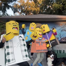Lego Costume One Of A Kind (sold As Set)