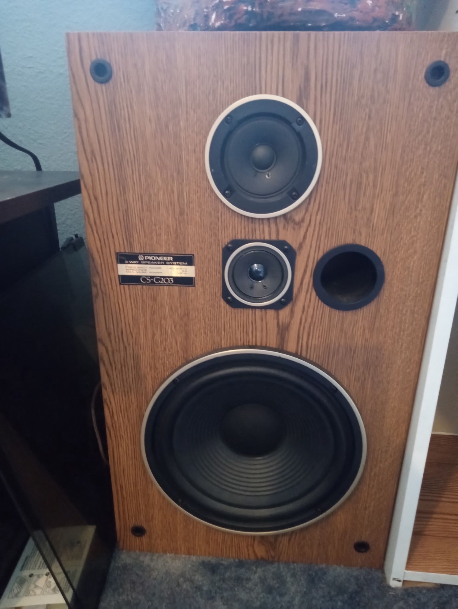 Pioneer CS-G203 3 Way Speaker System