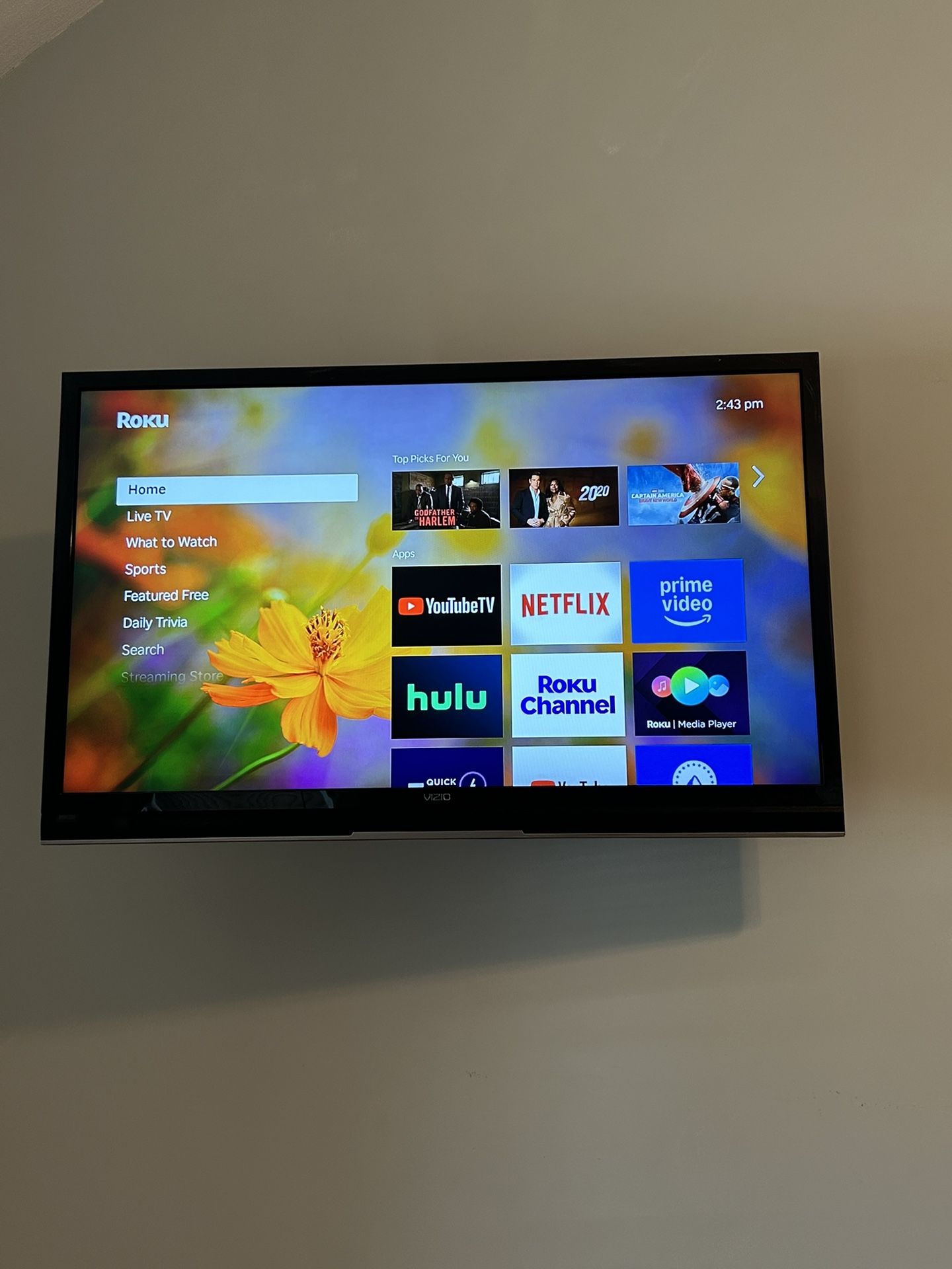 Vizio Smart Tv 47”