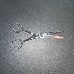 Barber Shears