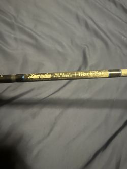 Lamiglas black salt custom