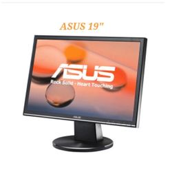 ASUS 19" Monitor 