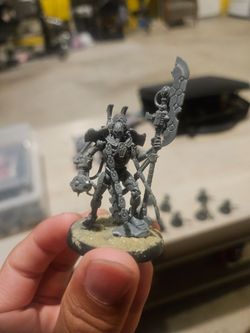Warhammer 40k Necron warriors and Necron overlord