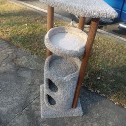 This Is A Cat PlayStation