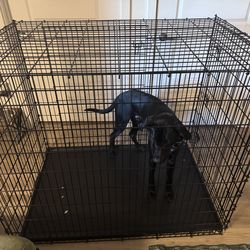54-Inch Dog Crate