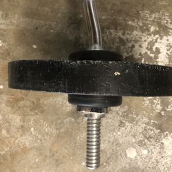 Olympic Curl bar with 2 25lb weight plates and 4 1 &1/2lb bumper plates