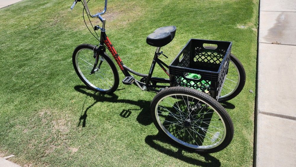 Mooncool Tricycle