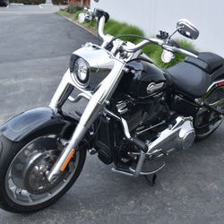 Harley Davidson fender 