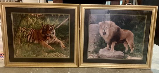 2 Large Framed Pictures Taken On A Safari In 1995