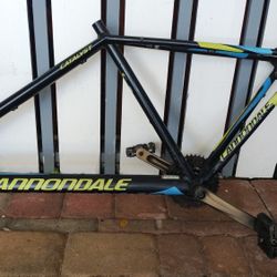 CANNONDALE XL FRAME BIKE- BLK/YLW