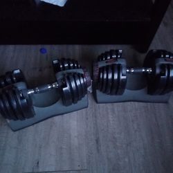 Bowflex Dumbbells 