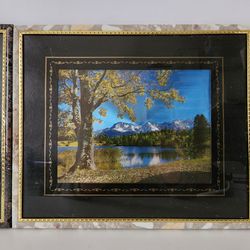 Nature Picture Frames