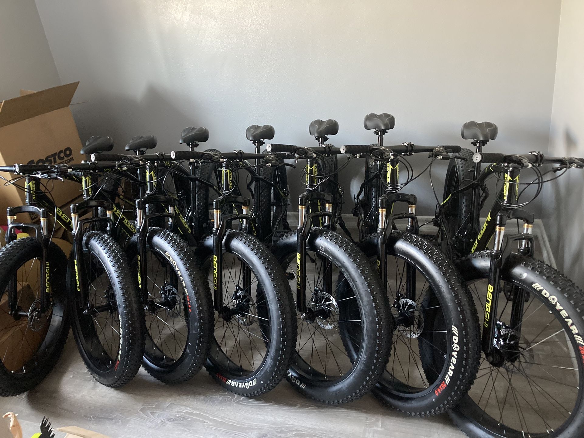 Bengshi Fat Tire Bike
