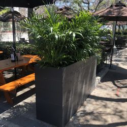 Beautiful Planter Box, Garden Bed, Privacy Wall, Outdoor Design cedar redwood AC pool equipment cover  