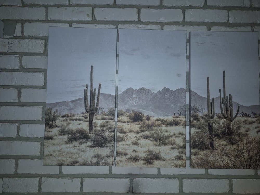 3 Panel Cactus Print