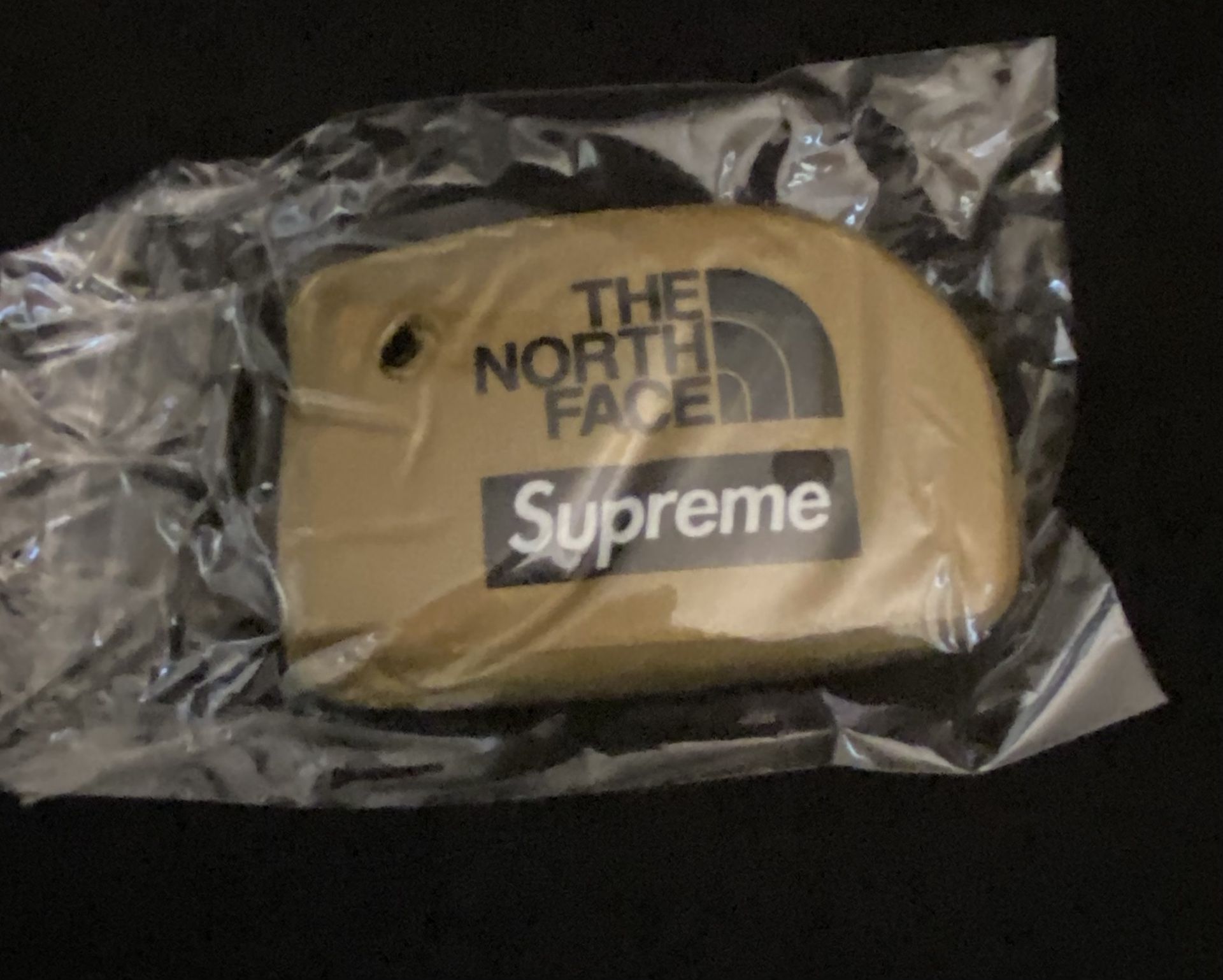Supreme x North face Keychain