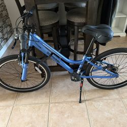 Schwinn GIRLS 24" CIMARRON MOUNTAIN BIKE Brand New With A Seat Cushion Upgrade + Vertical Bike Stand