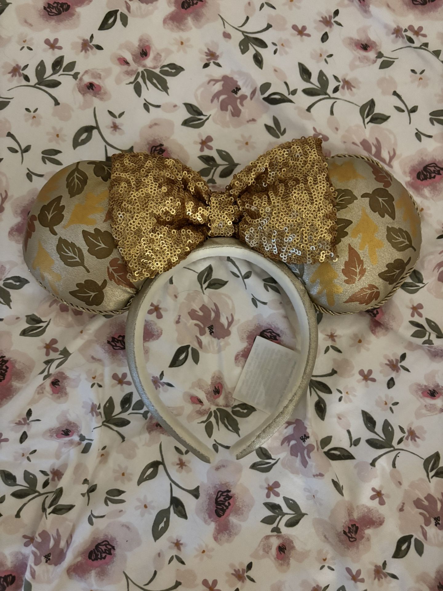 Disney Ears