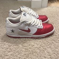 Supreme Bike SB dunks