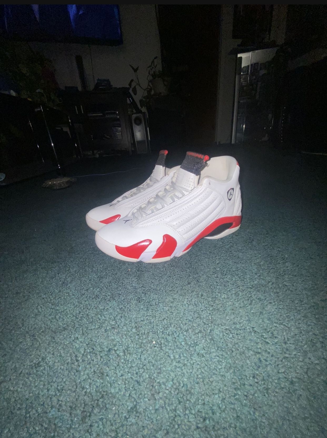 Jordan 14 Rip Hamilton 2019