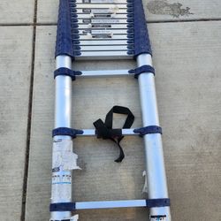 Xtend-climb Telescoping Ladder 