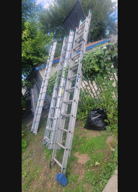 Werner Ladder